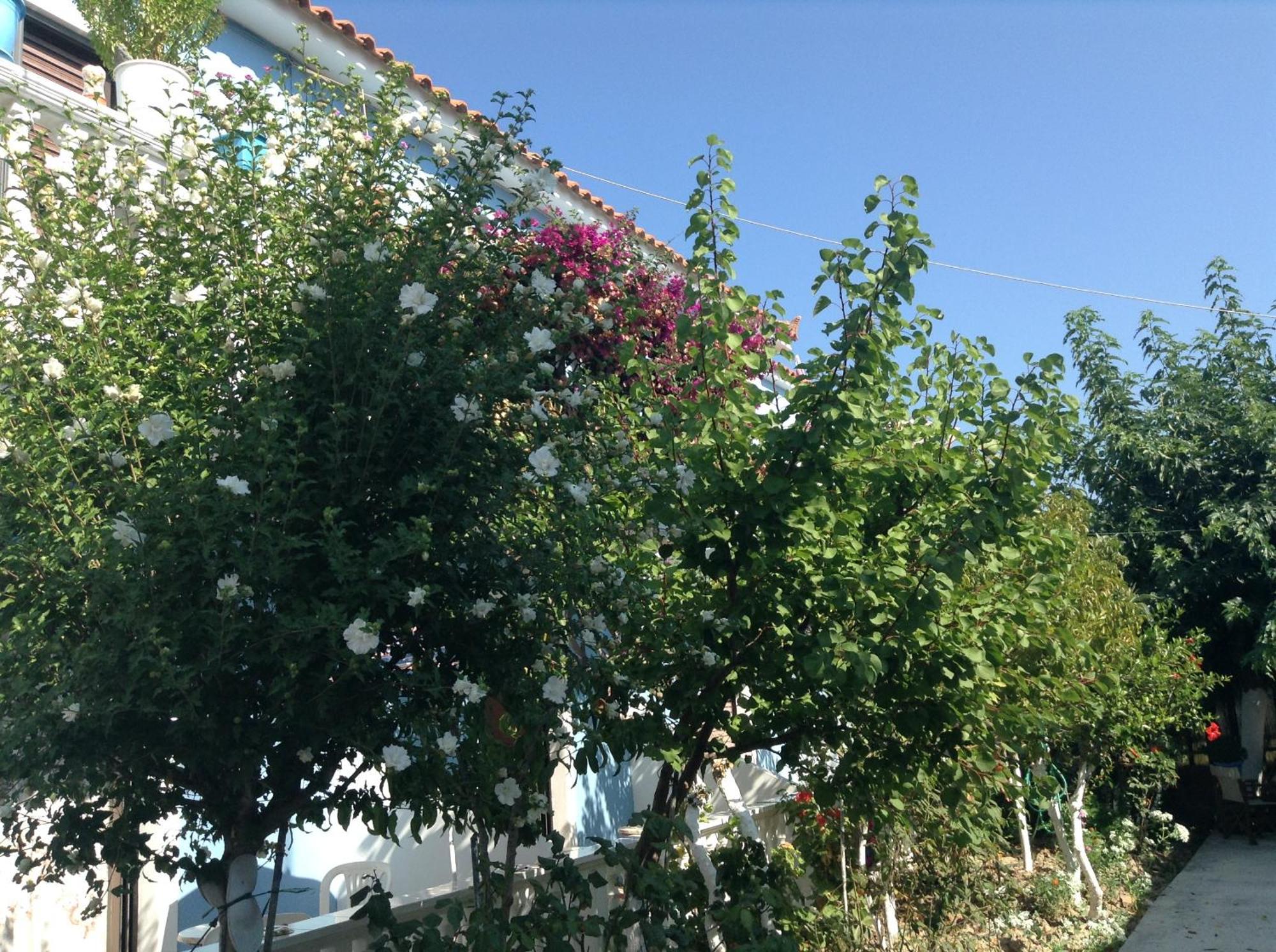 Dina Studios Kalamaki  Bagian luar foto