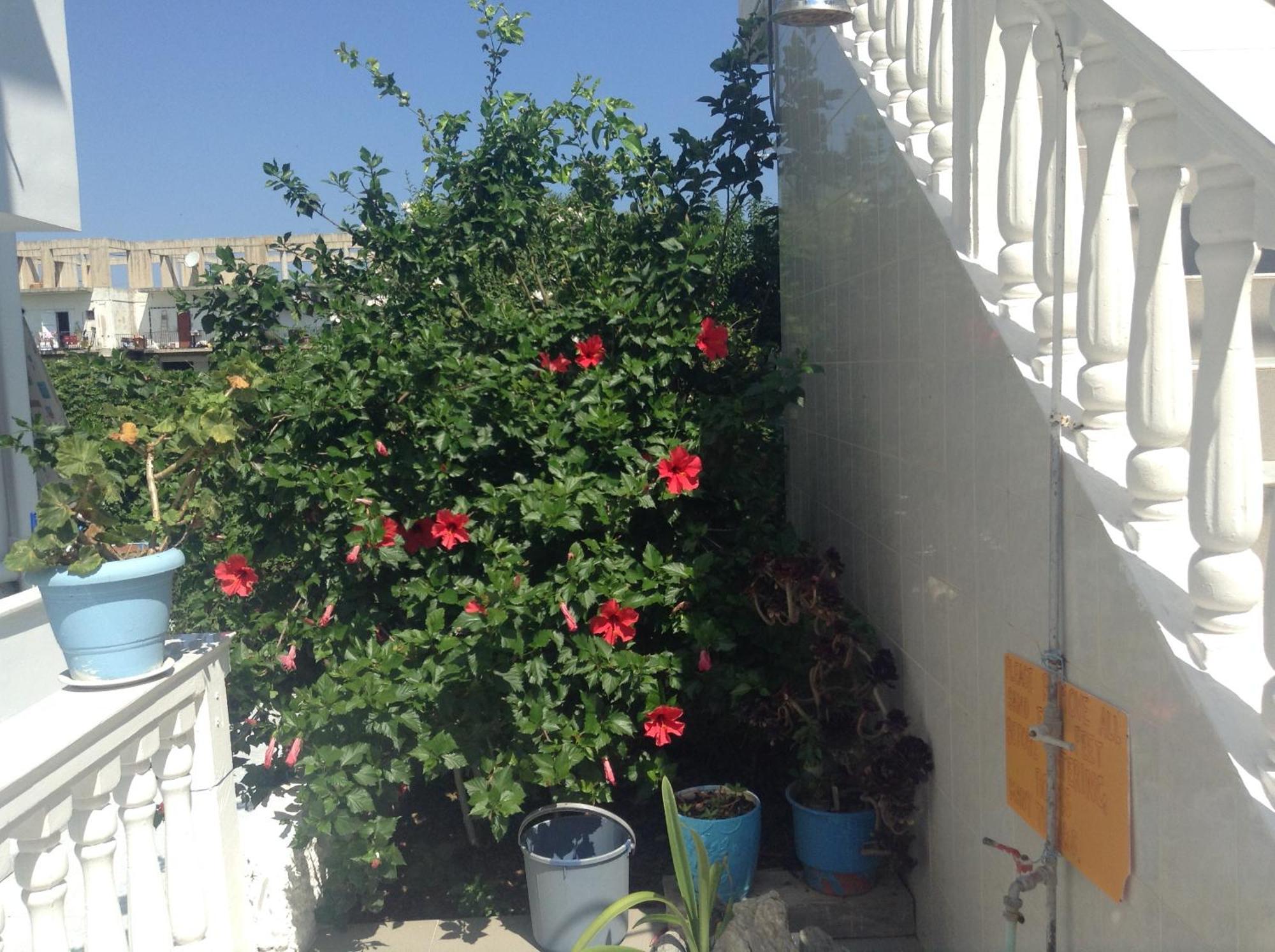 Dina Studios Kalamaki  Bagian luar foto